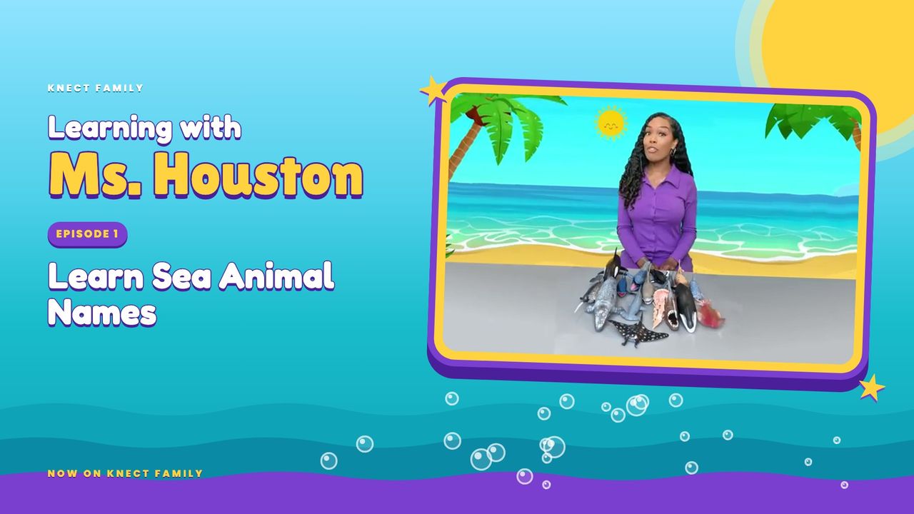 Learn Sea Animal Names, key art