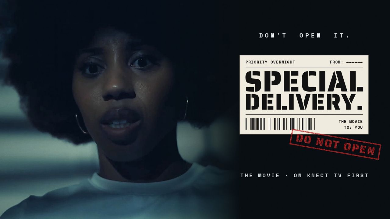 Special Delivery: The Movie, key art